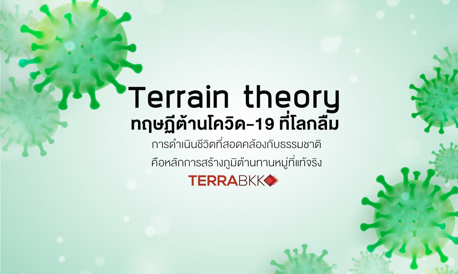 terrain-theory-ทฤษฏี-ต้าน-โควิค19-ที่-โลก-ลืม