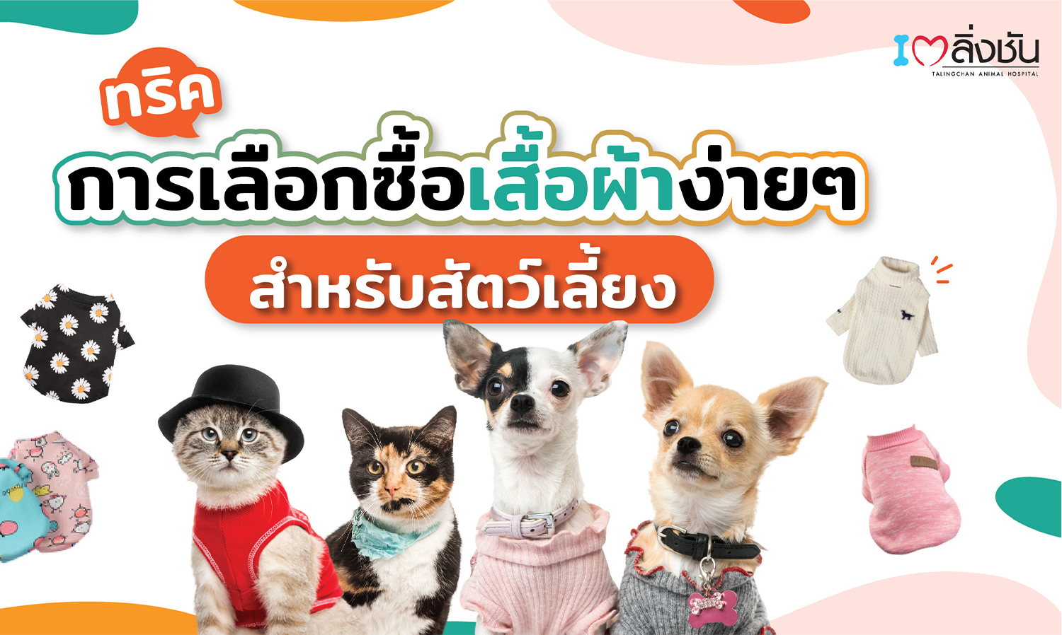Tips for Choosing Pet Clothing