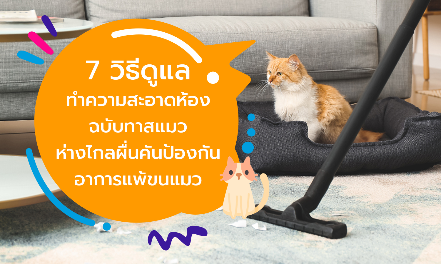 7 วิธีดูแลทำความสะอาดห้อง ฉบับทาสแมว ห่างไกลผื่นคันป้องกันอาการแพ้ขนแมว