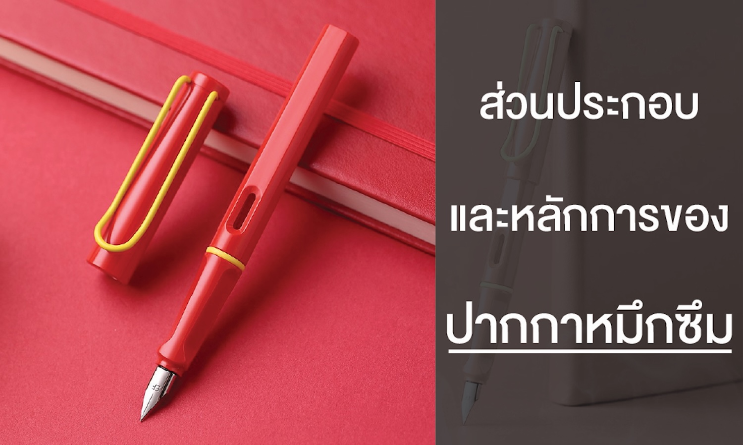 ส่วนประกอบและหลักการของปากกาหมึกซึม