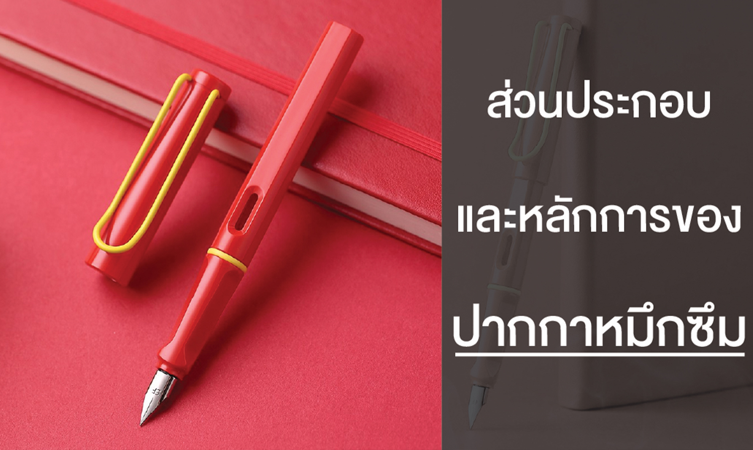 ส่วนประกอบและหลักการของ ปากกา หมึกซึม