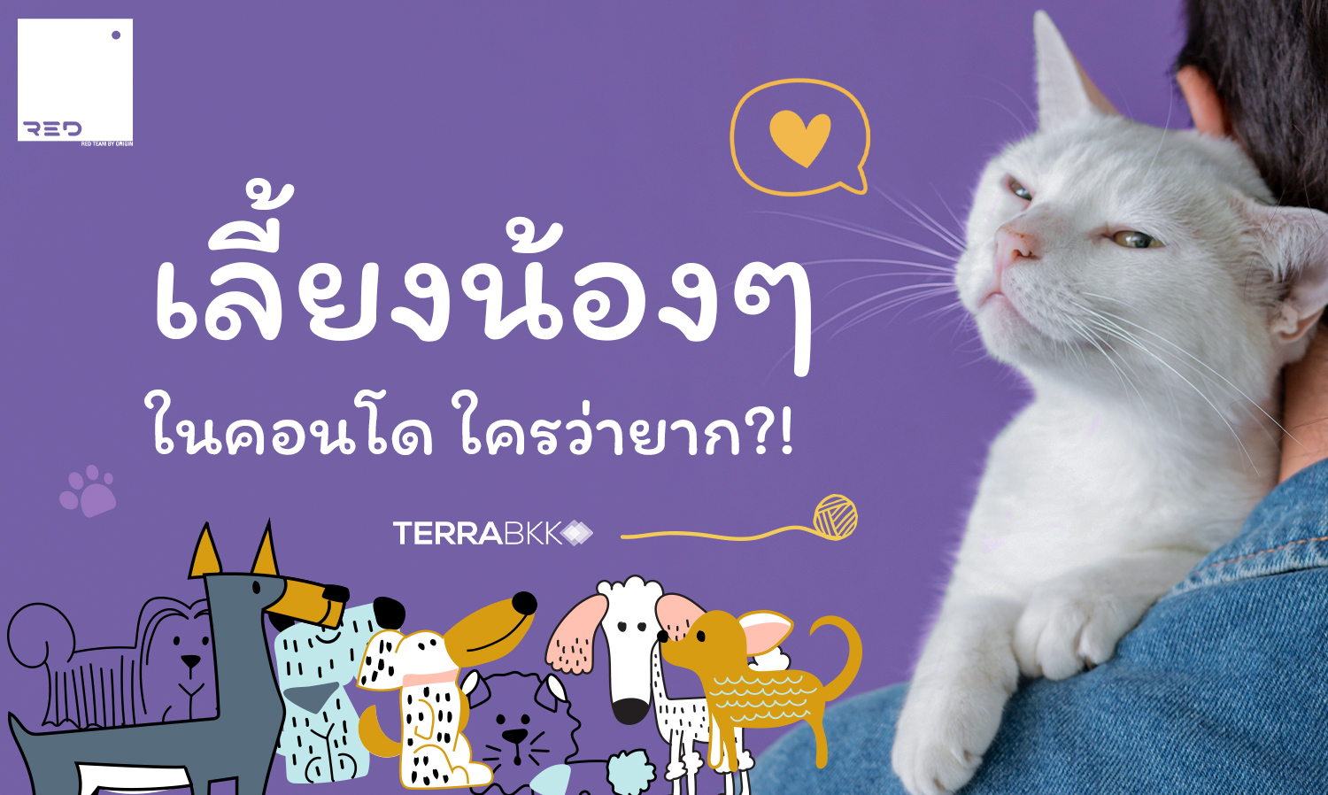 เลี้ยงน้อง ๆ ในคอนโด ใครว่ายาก