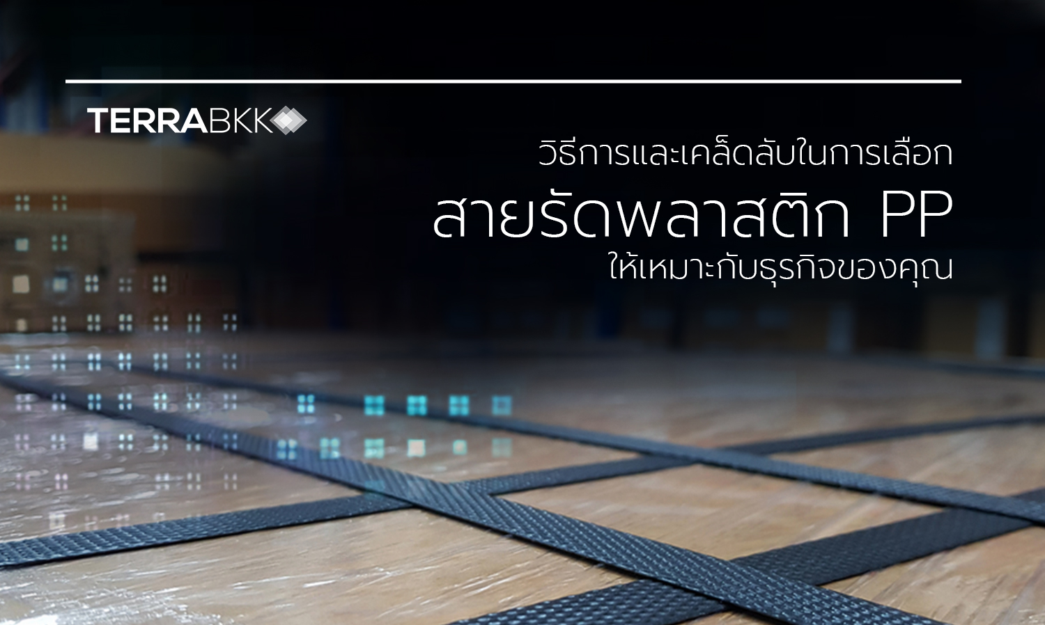 วิธีการและเคล็ดลับในการเลือกสายรัดพลาสติก PP ให้เหมาะกับธุรกิจของคุณ