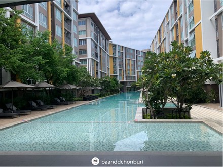 ขาย Dcondo campas resort Bangsaen by Sansiri ห้องสวย ใกล้ม.บูรพา ชลบุรี
