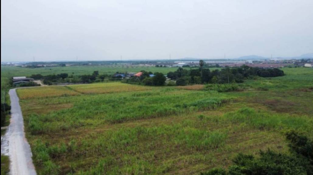 ภาพขาย ที่ดินพื้นที่ EEC 35 ไร่ บ้านบึง ชลบุรี 