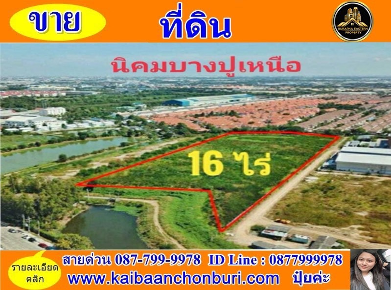 ขายที่ดินในนิคมอุตสาหกรรมบางปู(เหนือ)ต.แพรกษา อ.เมือง จ.สมุทรปราการ