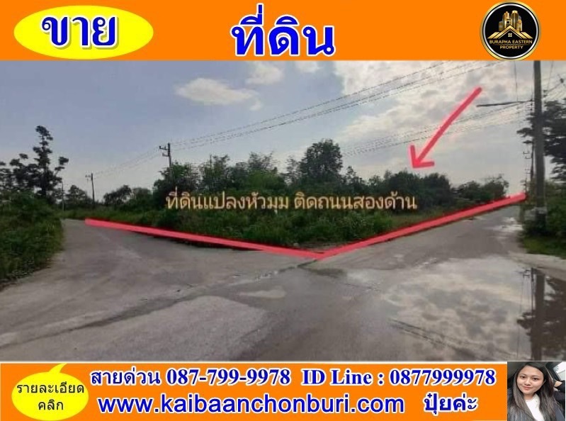 ขายที่ดินหนองหงษ์แปลงหัวมุม ต.หนองหงษ์ อ.พานทอง จ.ชลบุรี