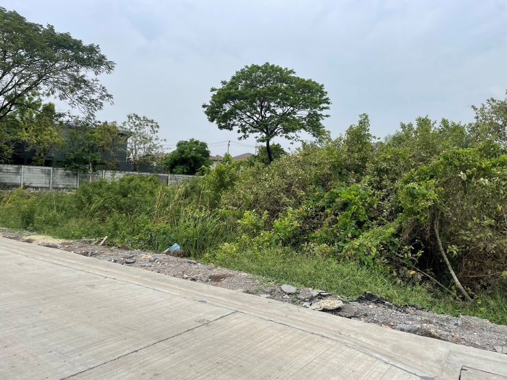 ขายที่ดิน 400 ตร วา ถนนพัฒนาการตัดใหม่ ซอย 97 (ติดกับหมู่บ้าน The City Pattankarn)