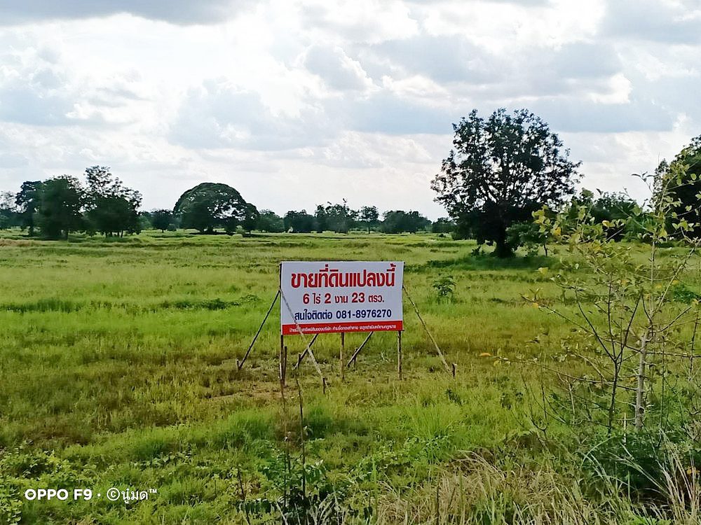 ขายที่ดินชัยภูมิ ต่ำกว่าประเมิน 6-2-23 ไร่ ตำบลหนองบัวใหญ่ อำเภอจัตุรัส จังหวัดชัยภูมิ