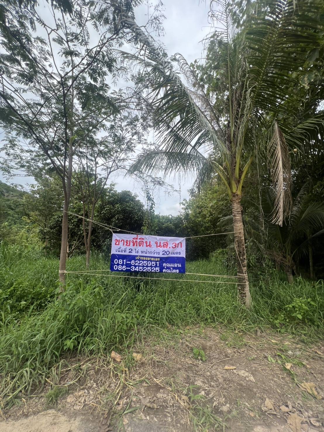 ขายที่ดินเปล่า2ไร่ ทำเลทอง  อำเภอเเก่งคอย จังหวัดสระบุรี