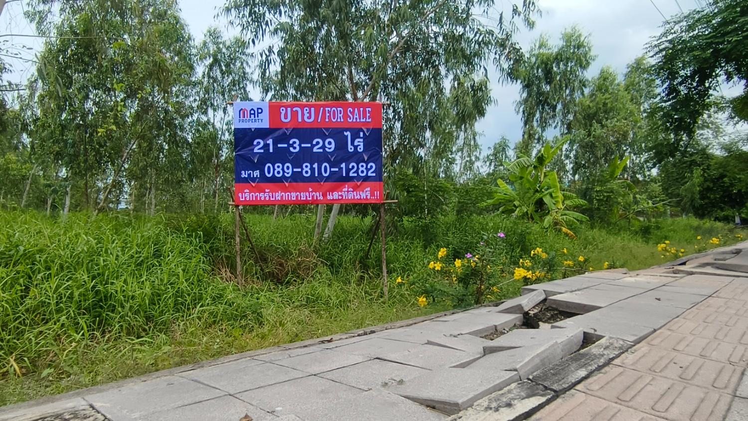 ขายด่วน ที่ดินติดถนนใหญ่ ราคาถูก