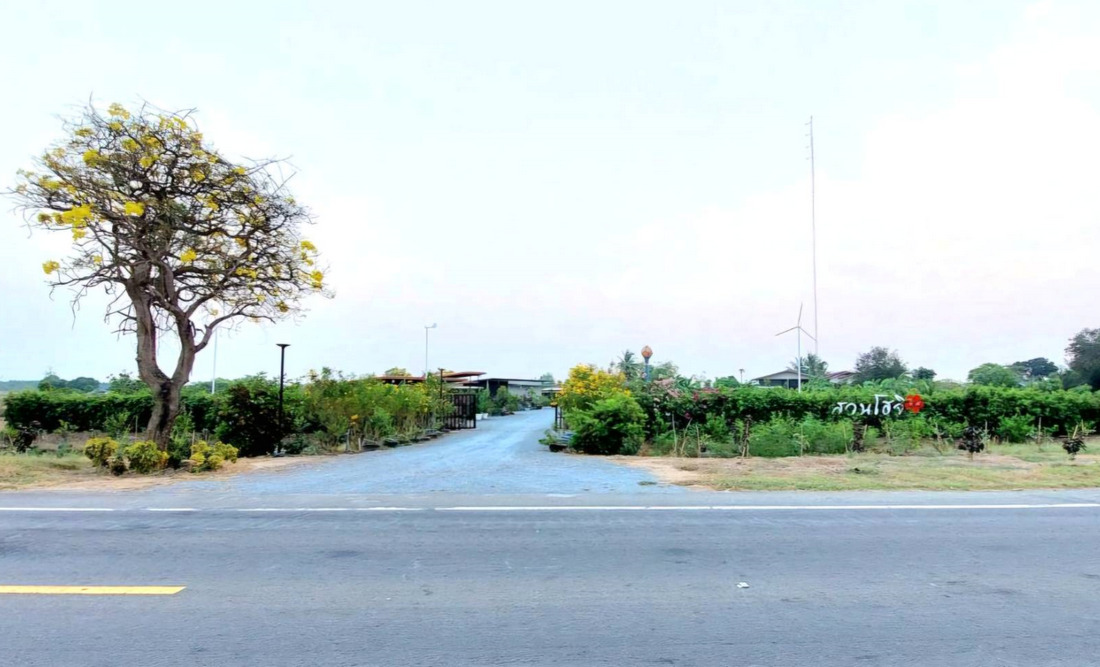 ที่ดินสวนโฮจิ 3 ไร่ (มีที่งอก 1 ไร่ รวม 4 ไร่) หน้ากว้าง 100 เมตร ติดถนน 3502 หนองหญ้าไซ สุพรรณบุรี