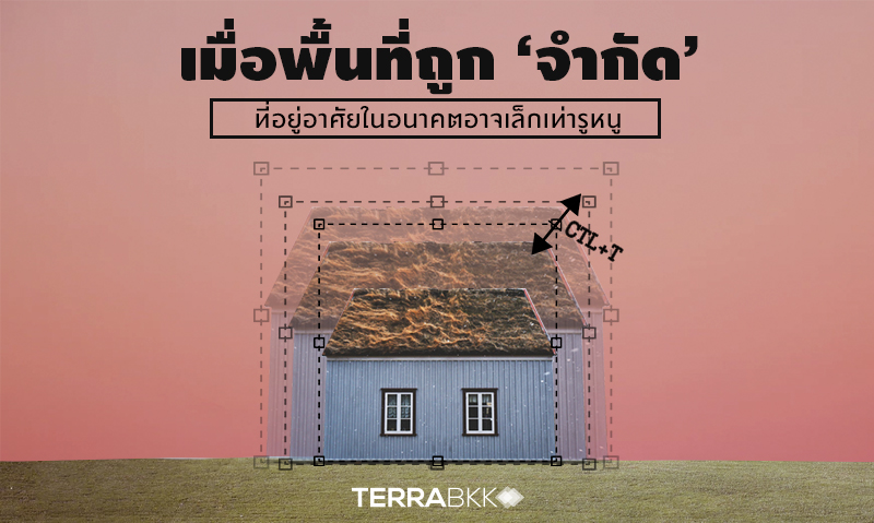 เมื่อพื้นที่ถูก ‘จำกัด’ อนาคต ที่อยู่อาศัย อาจมีขนาดเล็กเท่ารูหนู