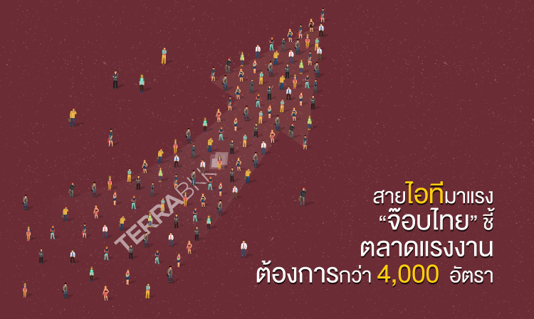 สายไอทีมาแรง “จ๊อบไทย” ชี้ตลาดแรงงานต้องการกว่า 4,000  อัตรา