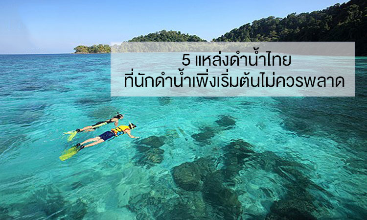 5 Thai Diving Spots That Beginner Divers Should Not Miss