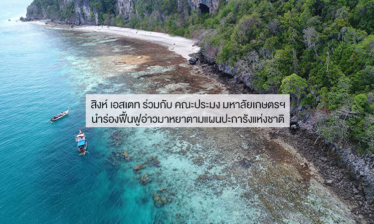 Singha Estate Collaborates with the Faculty of Fisheries, Kasetsart University to Pioneer the Restoration of Maya Bay According to the National Coral Plan