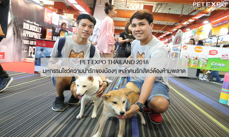 Pet Expo Thailand 2018 มหกรรมโชว์ความน่ารักของน้องๆ เหล่าคนรักสัตว์ต้องห้ามพลาด