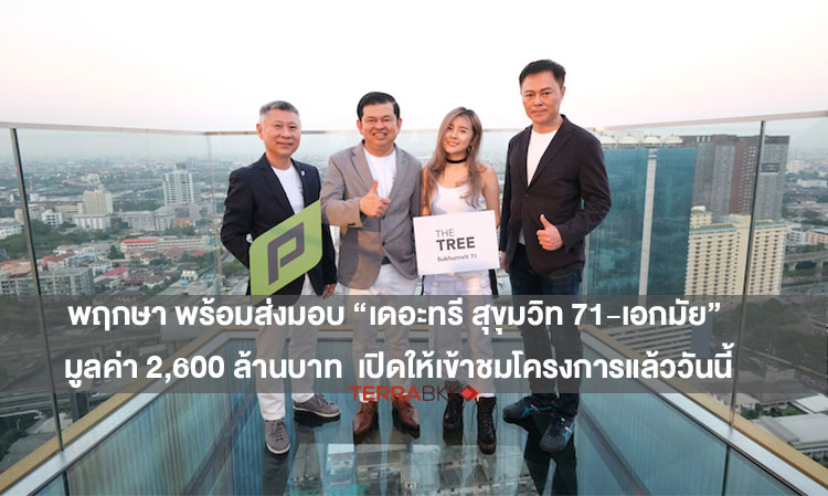 Pruksa Ready to Deliver 'The Tree Sukhumvit 71-Ekkamai' Worth 2.6 Billion Baht, Now Open for Project Viewing