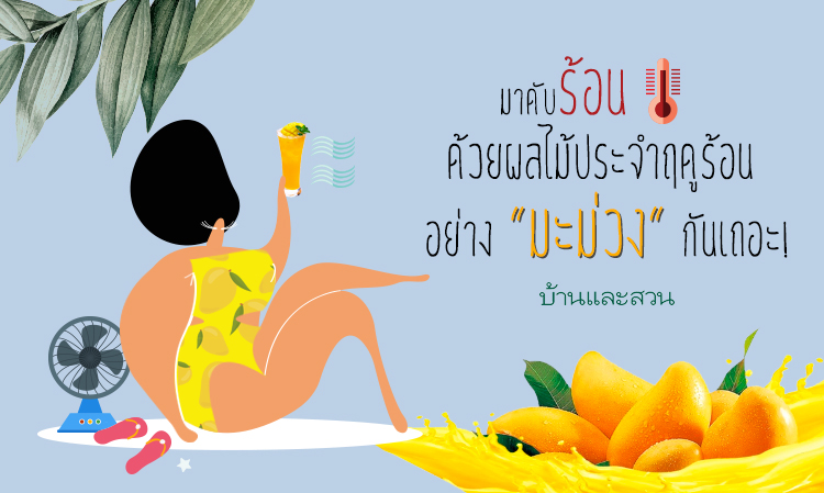 มาดับร้อนกันด้วยผลไม้ประจำฤดูร้อนอย่าง ” มะม่วง ” กันเถอะ!