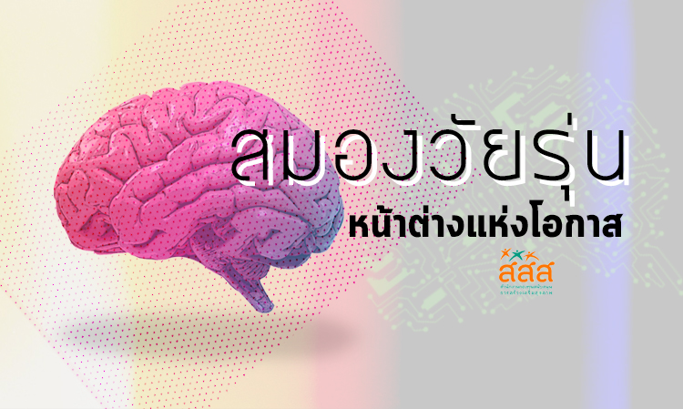 สมองวัยรุ่น...หน้าต่างแห่งโอกาส