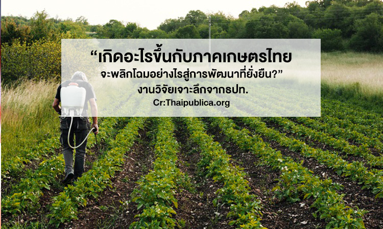 What is Happening to Thai Agriculture and How Will It Transform Towards Sustainable Development? A Deep Dive Research from the Bank of Thailand