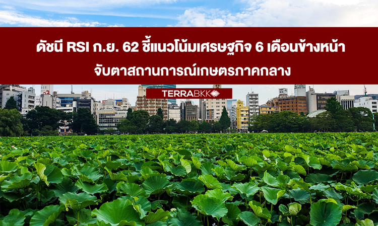 RSI Index September 2019 Indicates Economic Trends for the Next 6 Months: Monitoring the Agricultural Situation in Central Region