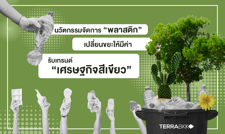 Innovative Management of 'Plastic': Turning Waste into Value in Line with the 'Green Economy' Trend