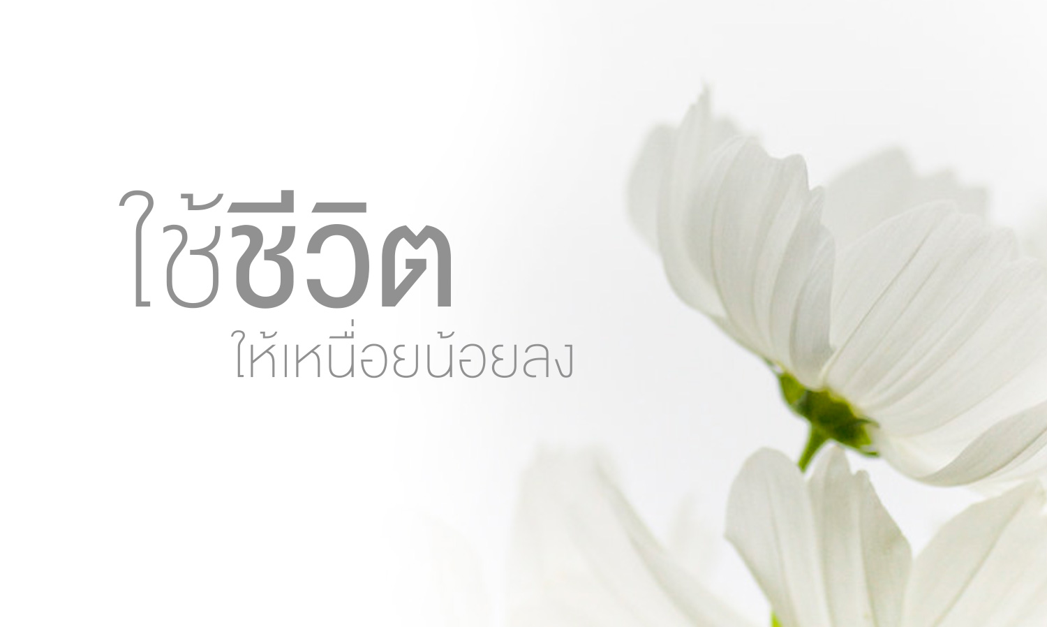 5 วิธีใช้ชีวิต ให้เหนื่อยน้อยลง แถมได้ความสบายใจเพิ่มขึ้น