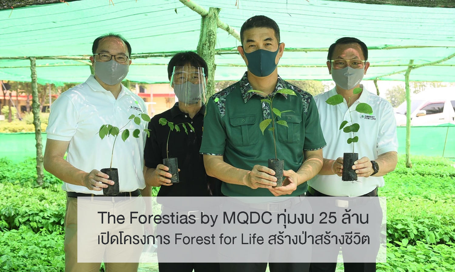 The Forestias by MQDC ทุ่มงบ 25 ล้าน เปิดโครงการ Forest for Life สร้างป่าสร้างชีวิต
