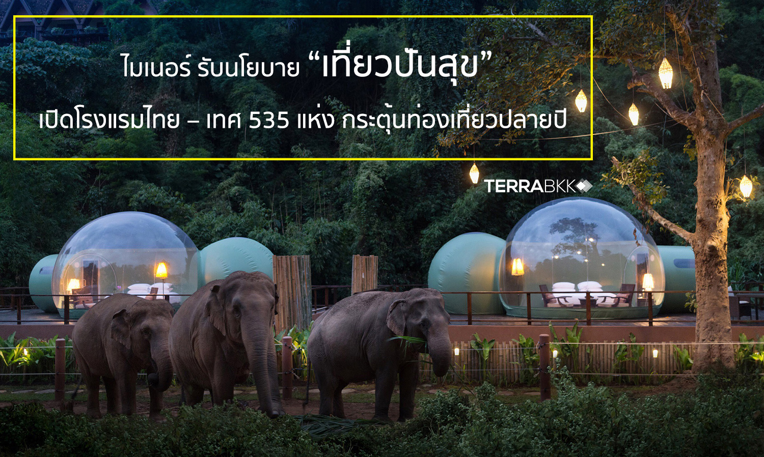 Minor Announces 'Travel for Happiness' Policy, Opening 535 Hotels in Thailand and Abroad to Boost Year-End Tourism