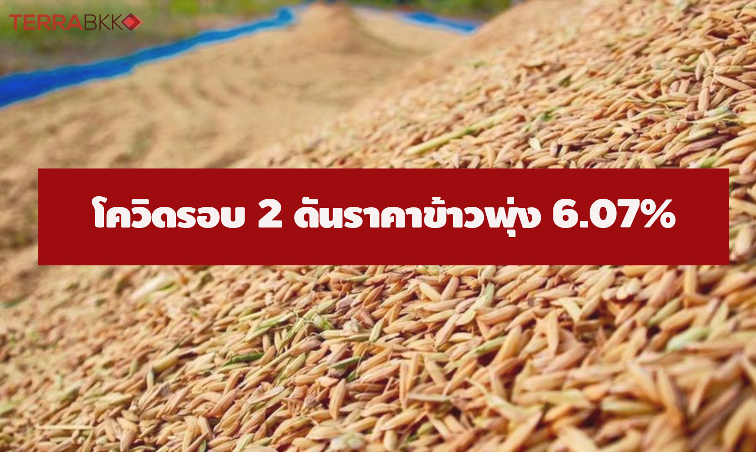 BAAC Research Center Indicates Second Wave of COVID-19 Causes Rice Prices to Surge by 6.07% in January 2021