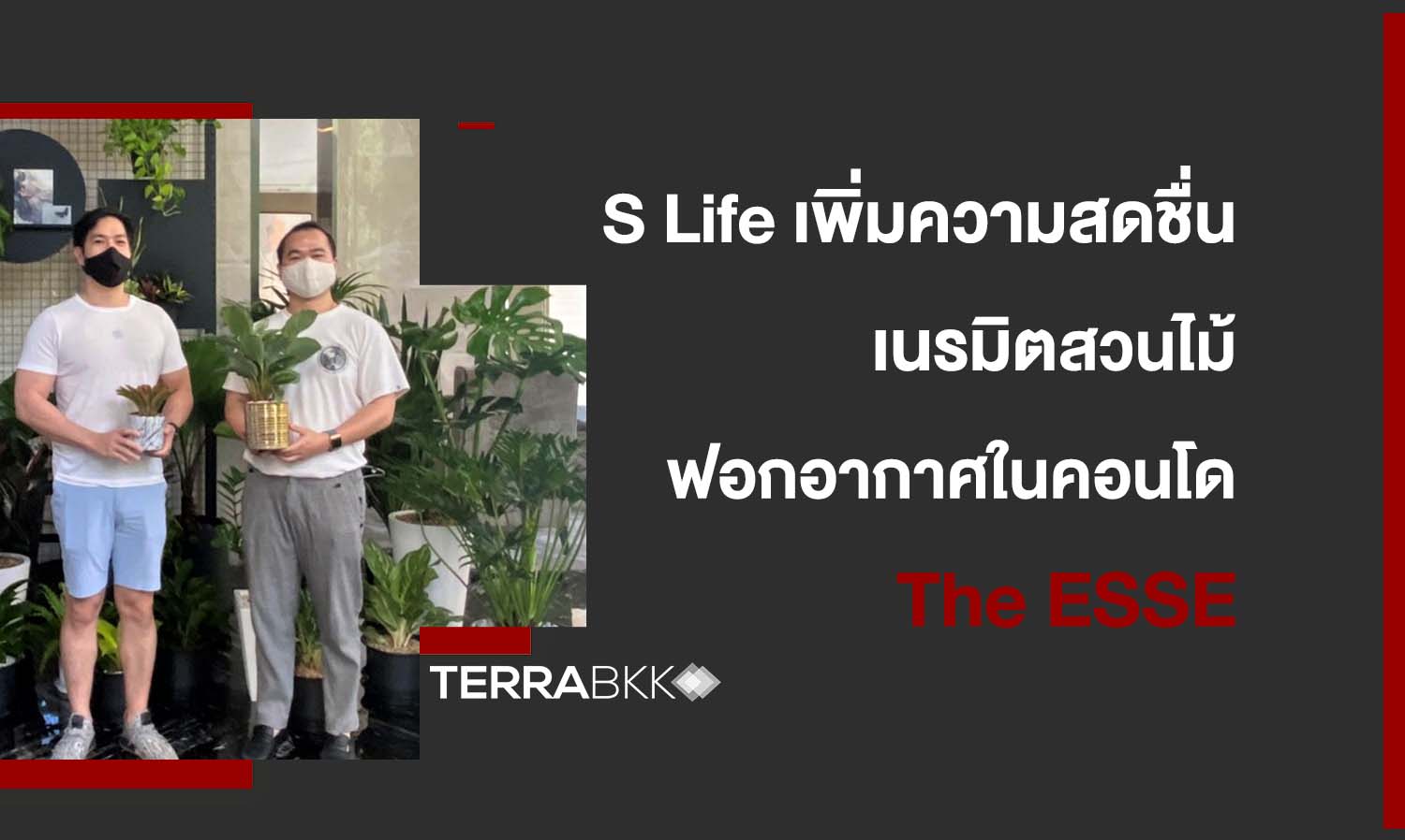 s-life-เพิ่มความสดชื่นให้ลูกบ้าน-เนรมิตสวนไม้ฟอกอากาศและไม้มงคลในคอนโด-the-esse