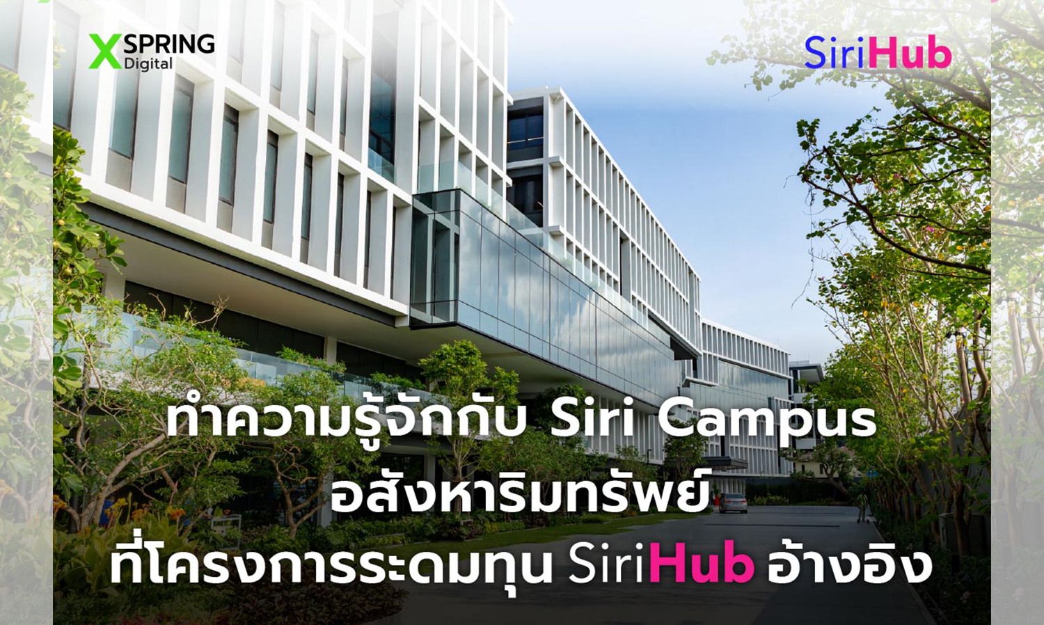 In-Depth Look at Siri Campus Project: Investment Opportunity in SiriHub Token, Thailand's First Real Estate-Backed ICO