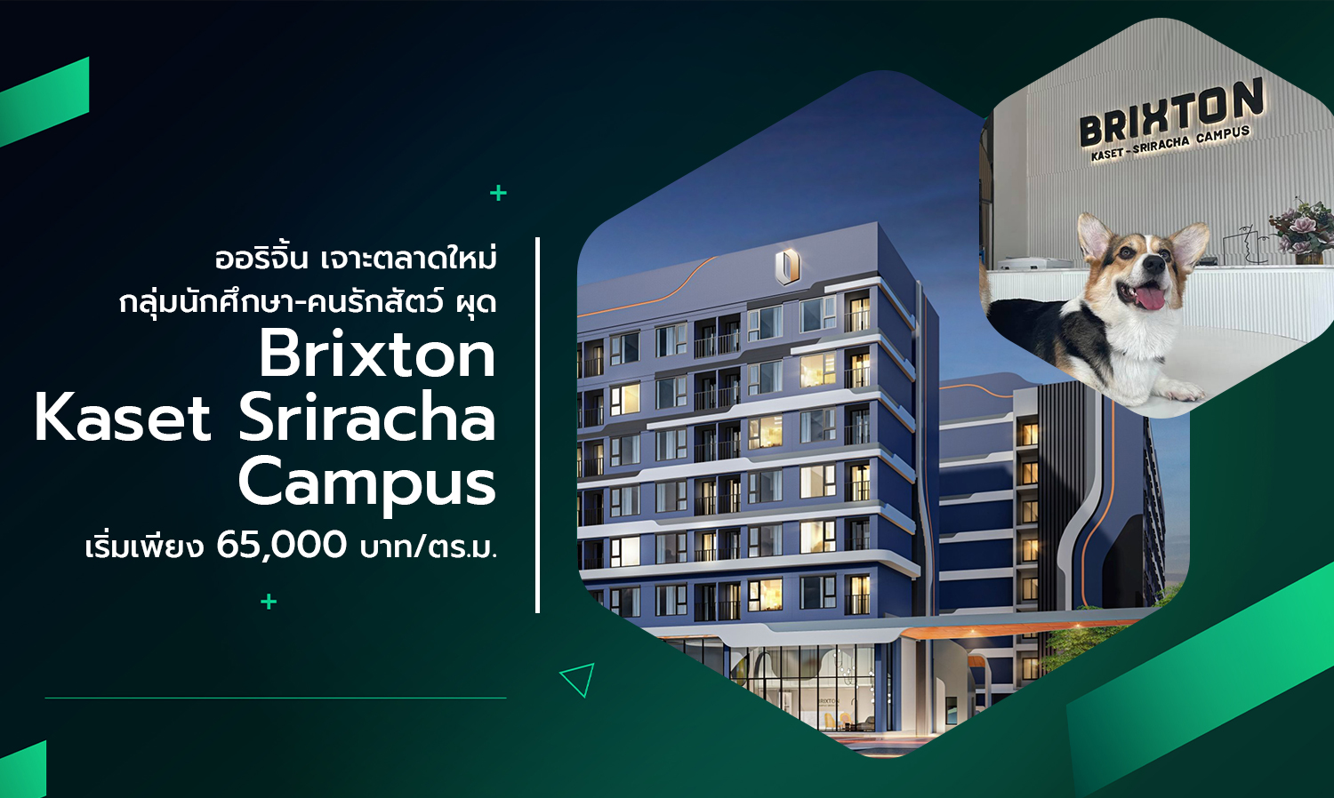 Origin Targets New Market of Students and Pet Lovers with Brixton Kaset Sriracha Campus Starting at 65,000 Baht/Sq.m.