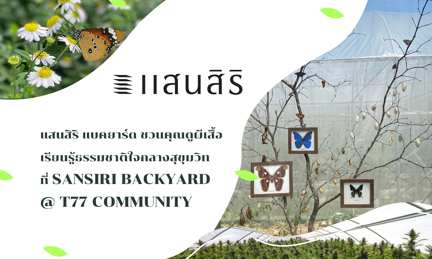 แสนสิริ แบคยาร์ด ชวนคุณดูผีเสื้อ เรียนรู้ธรรมชาติใจกลางสุขุมวิท ที่ Sansiri Backyard @ T77 Community