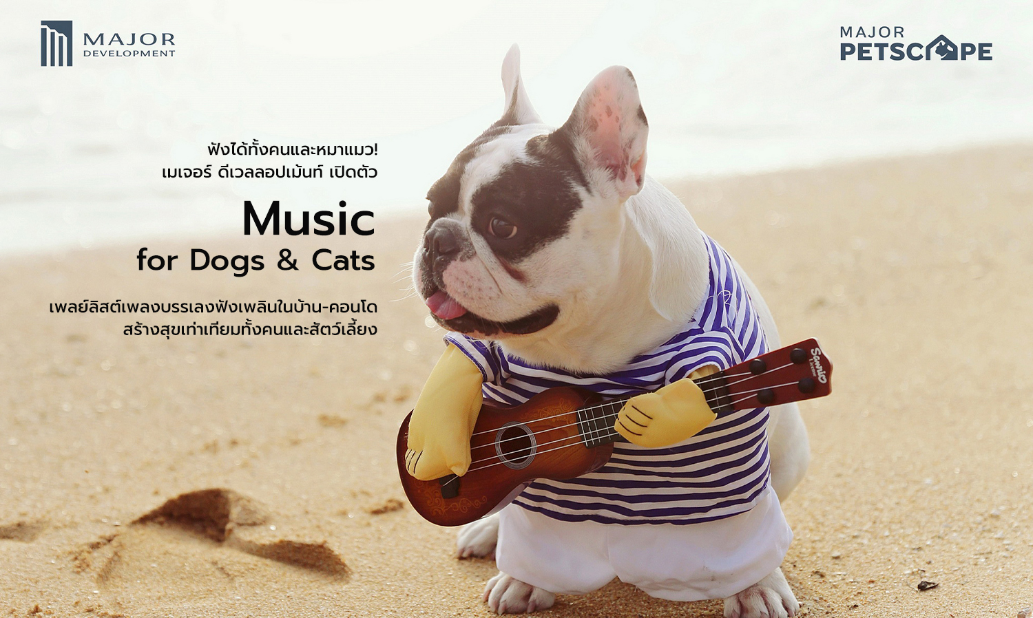 ฟังได้ทั้งคนและหมาแมว! เมเจอร์ ดีเวลลอปเม้นท์ เปิดตัว “Music for Dogs & Cats” เพลย์ลิสต์เพลงบรรเลงฟังเพลินในบ้าน-คอนโด สร้างสุขเท่าเทียมทั้งคนและสัตว์เลี้ยง