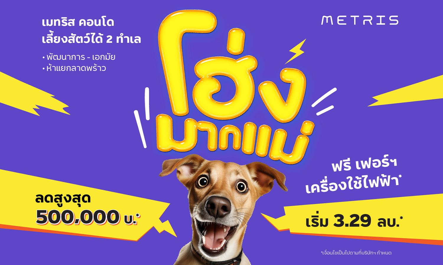 Woof Woof! Major Development's Huge Discounts for Pet-Friendly Condos