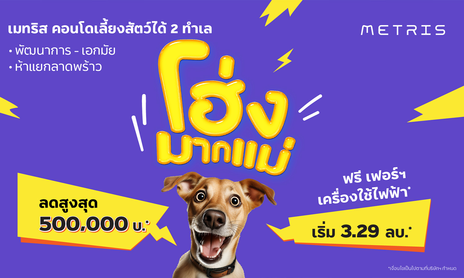 Major Development Declares International Pet Month with Major Pet Family Services