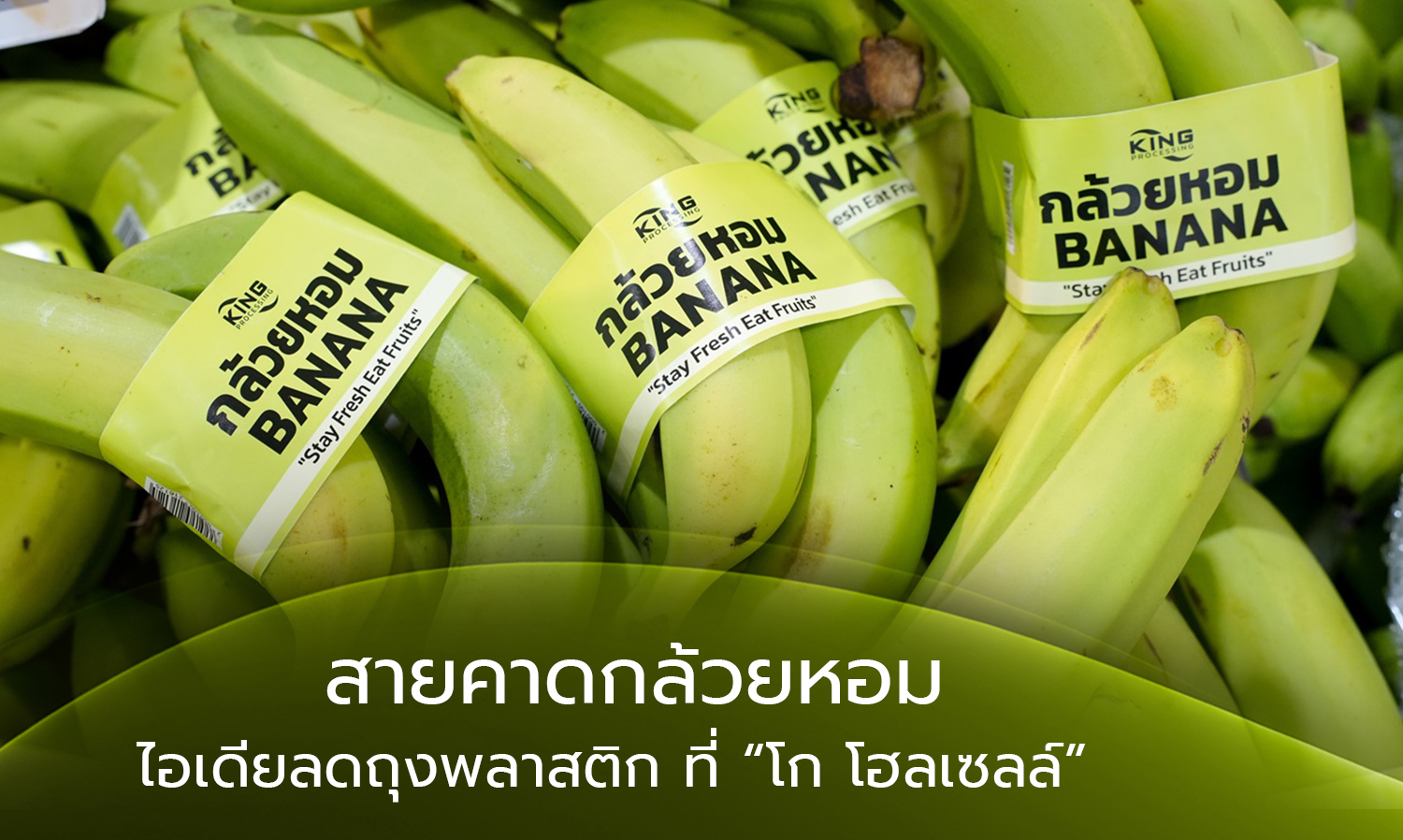 Banana Band: An Idea to Reduce Plastic Bags at GO WHOLESALE
